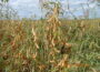 DSCN01791789217810